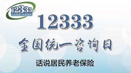 12333全國統(tǒng)一咨詢?nèi)?詳解淄博市居民養(yǎng)老保險(xiǎn)，社會經(jīng)濟(jì)咨詢服務(wù)在身邊